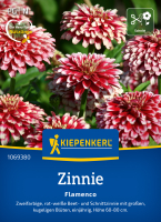 Zinniensamen Flamenco