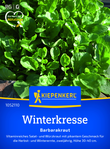 Winterkressesamen Barbarakraut