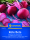 Rote Betesamen Chioggia-Guardsmark