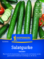 Salatgurkensamen Saladin F1