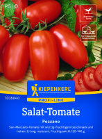 Salat-Tomatensamen Pozzano F1