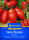 Salat-Tomatensamen Pozzano F1
