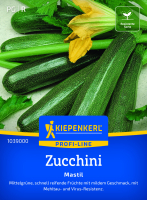 Zucchinisamen Mastil resistent