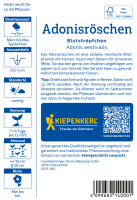 Adonisröschensamen Blutströpfchen