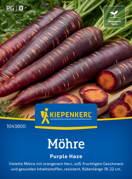 Möhrensamen Purple Haze