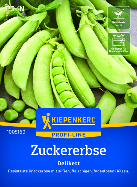 Zuckererbsensamen Delikett