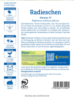 Radieschensamen Vienna Powersaat