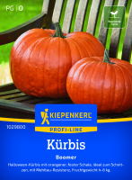Kürbissamen Boomer F1