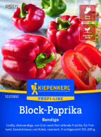 Block-Paprikasamen Bendigo F1