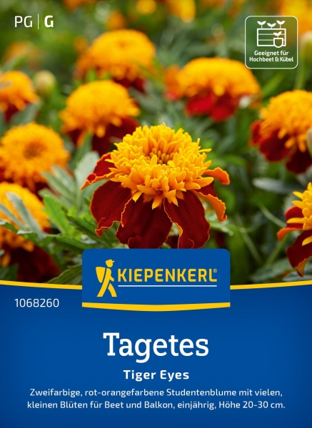 Tagetessamen Tiger Eyes