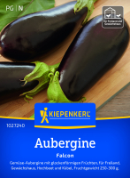 Auberginensamen Falcon F1