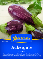 Auberginensamen Lucilla F1