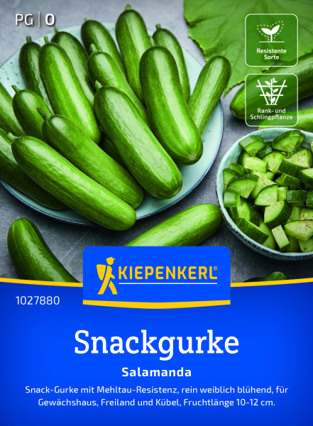 Snackgurkensamen Salamanda