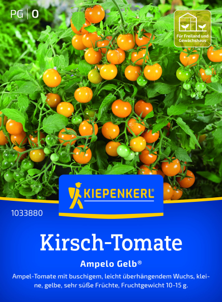Kirsch-Tomatensamen Ampelo Gelb®