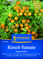 Kirsch-Tomatensamen Ampelo Gelb®