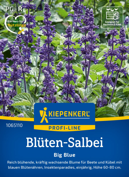 Blüten-Salbeisamen Big Blue