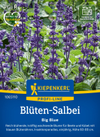 Blüten-Salbeisamen Big Blue