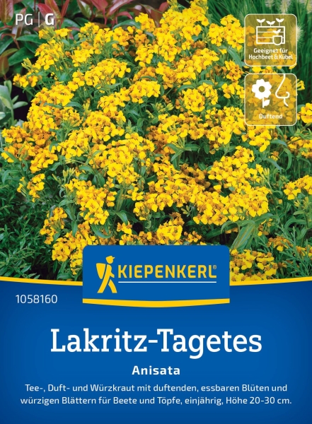 Lakritz-Tagetessamen Anisata