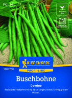 Buschbohnensamen Domino