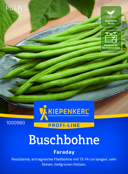 Buschbohnensamen Faraday