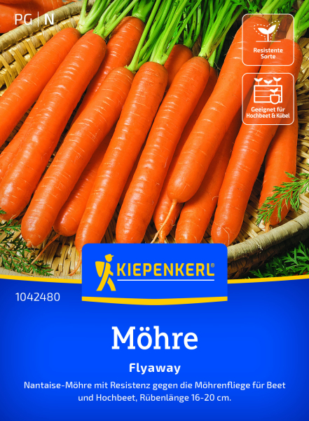Möhrensamen Flyaway
