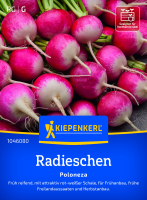 Radieschensamen Poloneza