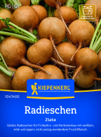 Radieschensamen Zlata