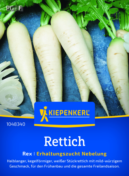 Rettichsamen Rex