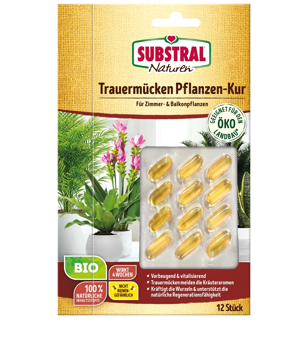 Trauermcken Pflanzen-Kur, 9,95