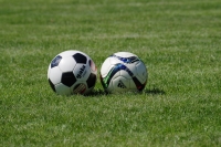 Spiel- und Sportrasen RSM 2.3 2,5kg/100m²