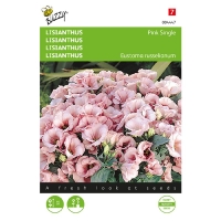 Lisianthus Pink Single