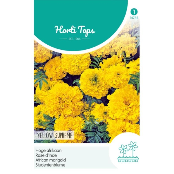 Tagetes Erecta Hohe Gef. Yellow Supreme 70 cm