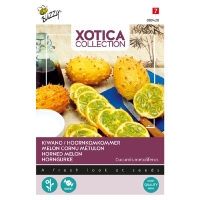 Horngurke Xotica Kiwano