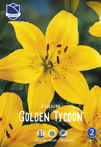 Lilie Golden Tycoon 3St.