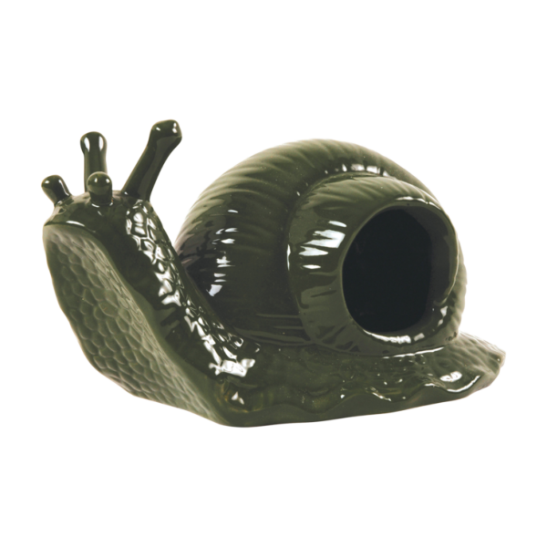 Schneckenfalle