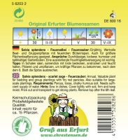 Feuersalbei Feuerzauber