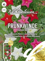 Prunkwinde Feather Mix