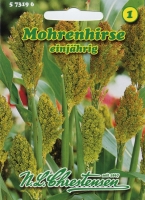 Mohrenhirse