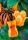 Afrik.Tulpenbaum, gelb