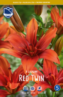 Lilie Red Twin