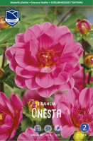 Dahlie Onesta