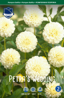 Dahlie Petras Wedding