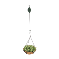 Blumenampellift