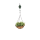 Blumenampellift