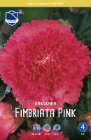 Knollenbegonie fimbriata pink 3 Stück