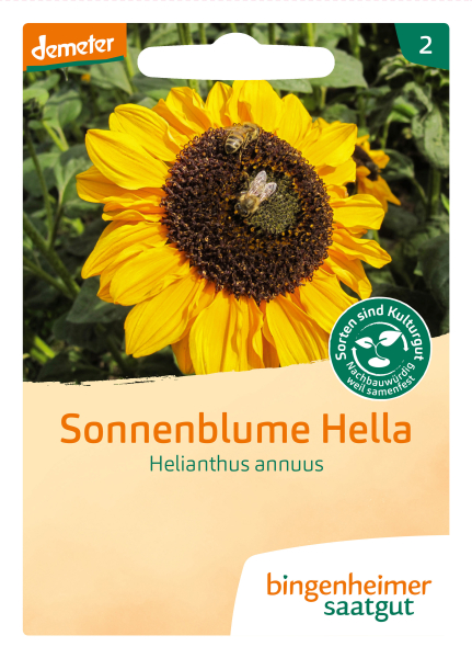 Bio-Sonnenblume Hella 100cm