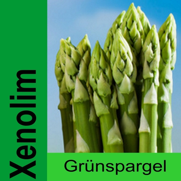 Spargelpflanzen grün "Xenolim" 25Stück