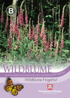 Wildblume Fingerhut