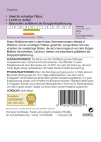 Wildblume Fingerhut