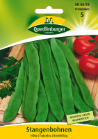 Stangenbohne Hlda